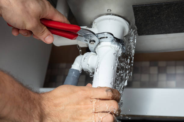 Best Professional water damage repair  in Hallstead, PA