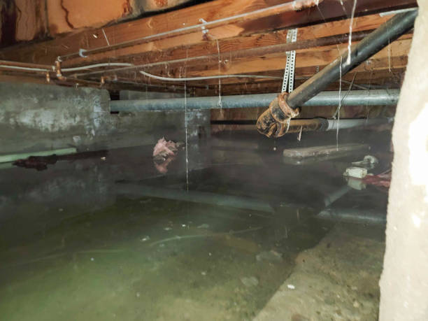 Best Emergency water extraction  in Hallstead, PA