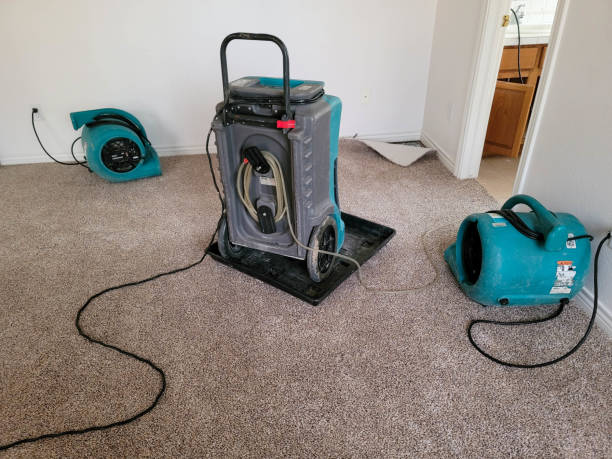 Best Water damage restoration near me  in Hallstead, PA