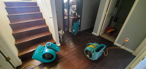 Trusted Hallstead, PA Water damage restoration Experts