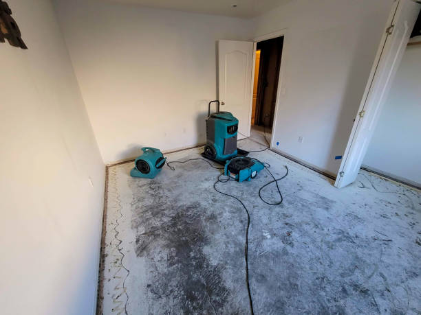 Best Water damage restoration cost  in Hallstead, PA