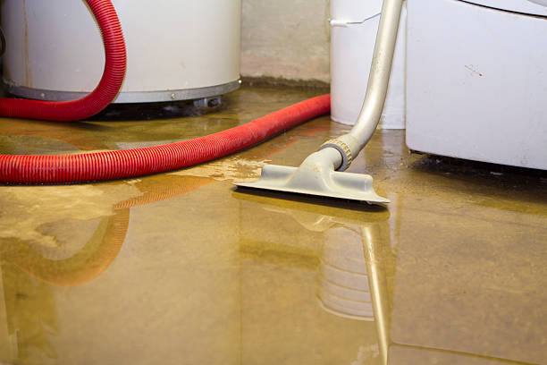  Hallstead, PA Water damage restoration Pros
